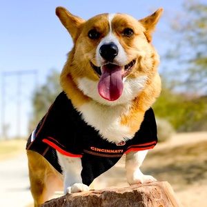 Cincinnati Bengals Dog Jersey